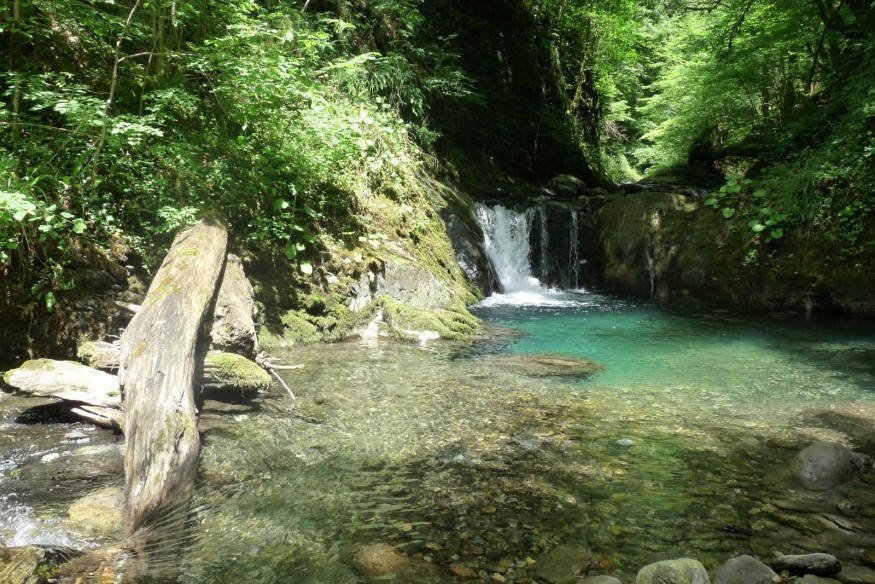 La réglementation en zone cœur du Parc national des Pyrénées évolue